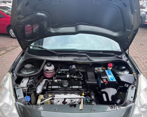 207 Cinza 12 (12)