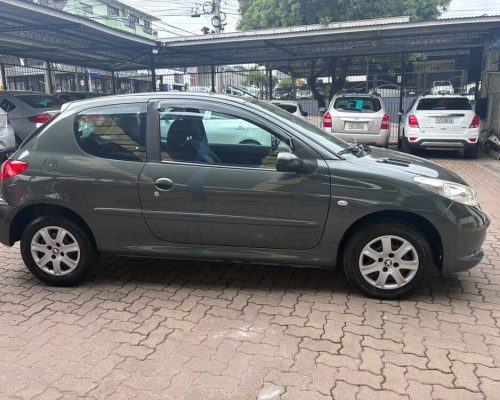 207 Cinza 12 (3)
