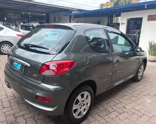 207 Cinza 12 (4)
