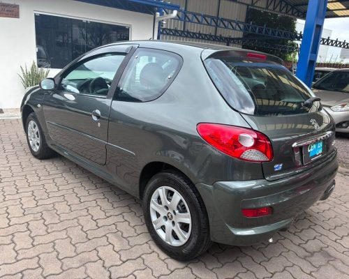 207 Cinza 12 (5)