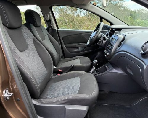 Captur Verde 19 (10)