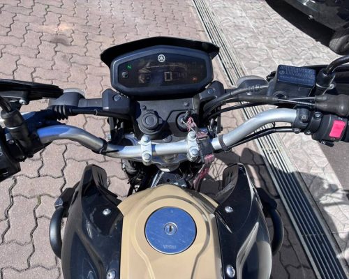 Crosser (7)