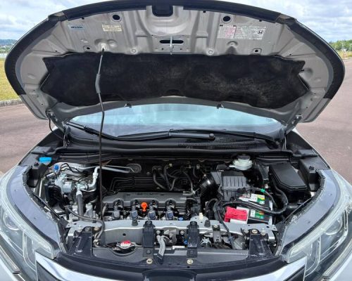 Crv prata 16 (18)