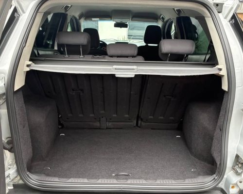 Ecosport Prata 13 (11)