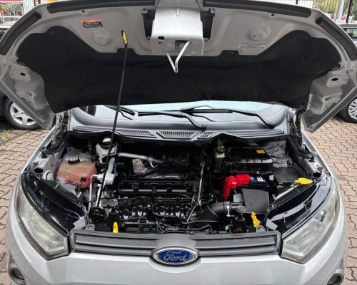 Ecosport Prata 13 (12)