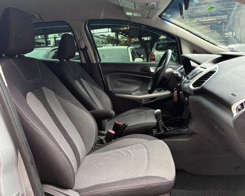 Ecosport Prata 13 (9)