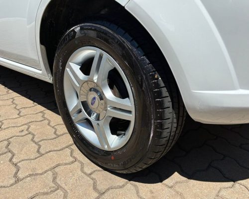 Fiest branco 14 (12)