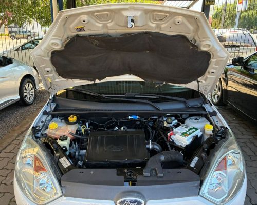 Fiest branco 14 (13)