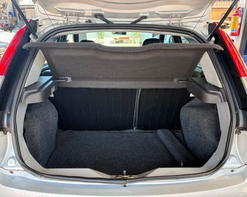 Fiesta Prata 09 (11)