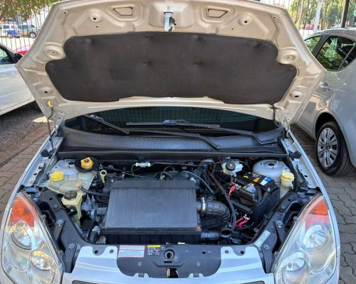 Fiesta Prata 09 (14)