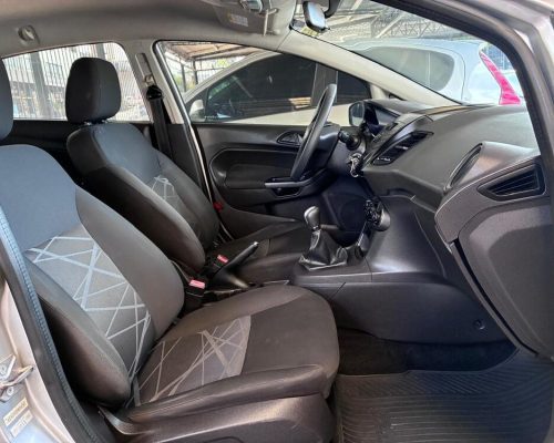 Fiesta Prata 14 (10)