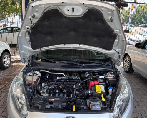 Fiesta Prata 14 (13)