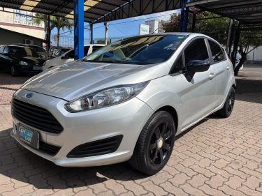 Fiesta Prata 14 (15)