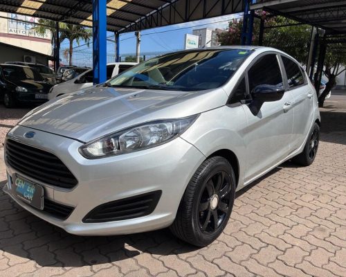 Fiesta Prata 14 (15)