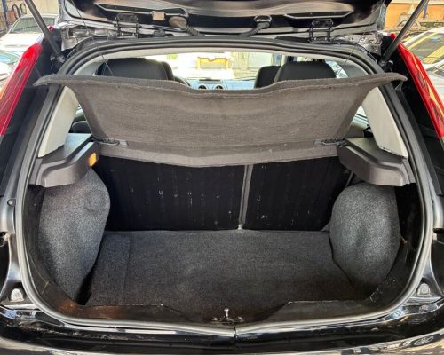 Fiesta Preto 14 (11)