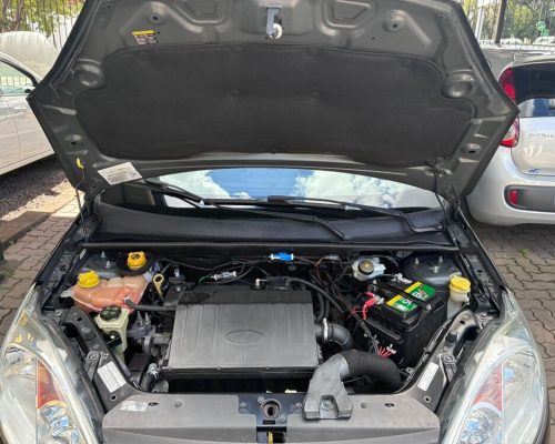 Fiesta Preto 14 (12)